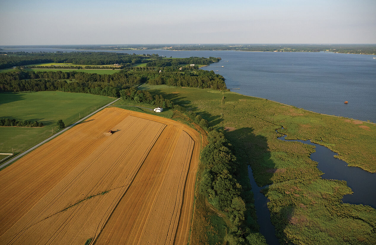 Farmland along the Choptank River, MD